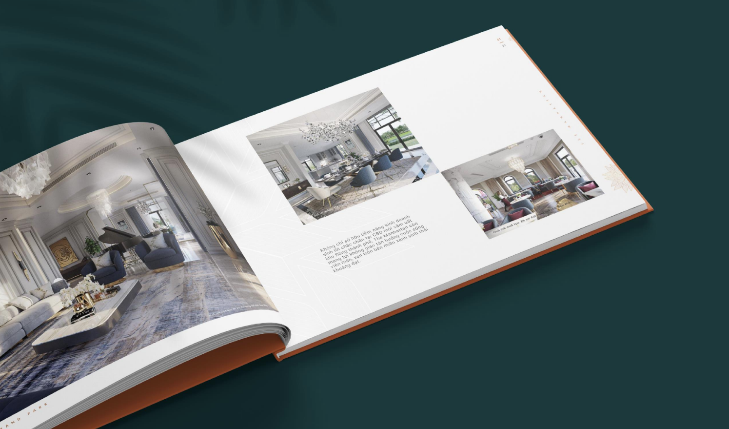 Brochure 8