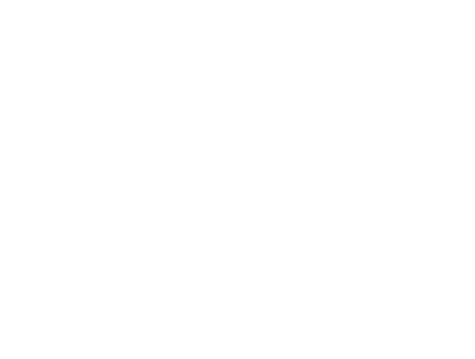 EZ VIZ